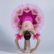 BLL130 Pre-professional Ballet Tutu