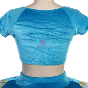 BLL559 Light Sea Blue Pre-professional Ballet Tutu