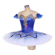 B25023 ombre Blue Custom Size Made Tutu
