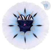 B25035 Ombre Blue Custom Size Made Tutu of Fairy of the Blue Flowers