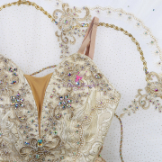 B25036 Custom Size Made Tutu for Shiny Princess Aurora