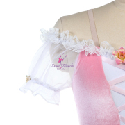 25013-01 Pink Velvet Long Ballet Costumes Romantic Tutus