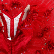 B25639 Red Custom Size Made Tutu for Kitri