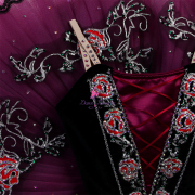 B25013 Custom Made Professional Ballet Tutus for Esmeralda variation