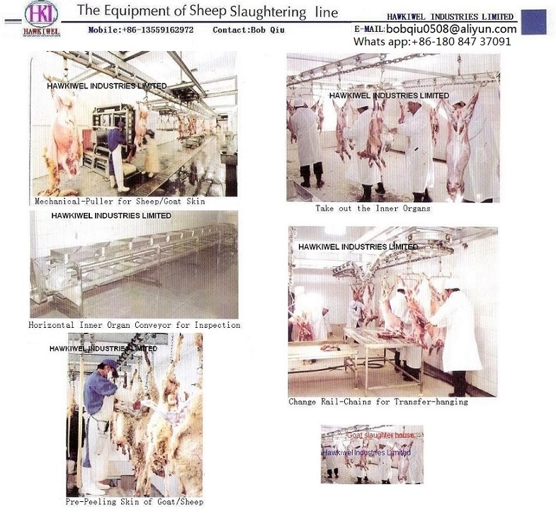 sheep goat slaughter house equipment for hot sale