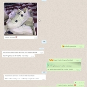 Song Sneaker Feedback