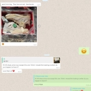 Song Sneaker Feedback