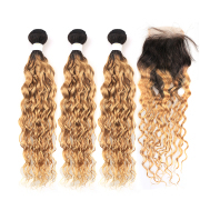 T1B/27 Water Wave Remy Human Hair Bundles With Closure 4x4 AHBC-52