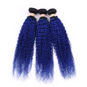 T1B/Blue Kinky Curly Remy Human Hair Bundles Sew In Weave Extensions AHHB-51