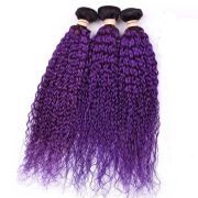 T1B/Purple Kinky Curly Remy Human Hair Bundles Sew In Weave Extensions AHHB-45