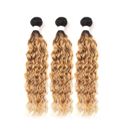 T1B/27 Water Wave Remy Human Hair Bundles Sew In Weave Extensions AHHB-199