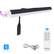 Black LED Wall Mounted Picture Light Fixture with Remote Control and Wireless Bluetooth