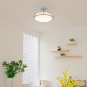 Flush Mount Ceiling Light Brushed Nickel Indoor 1 -Light LED Semi-flush Mount Light Plastic Shade