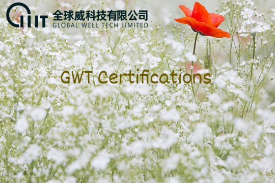 GWT Certifications
