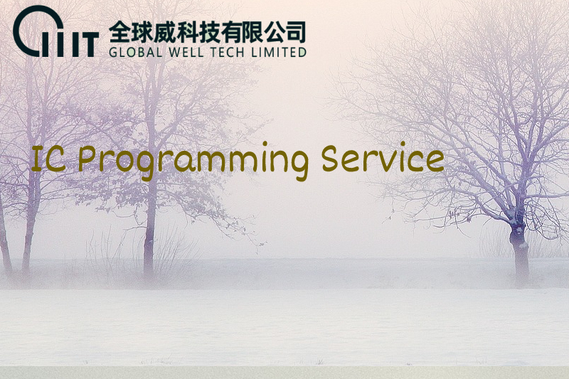 IC Programming Service