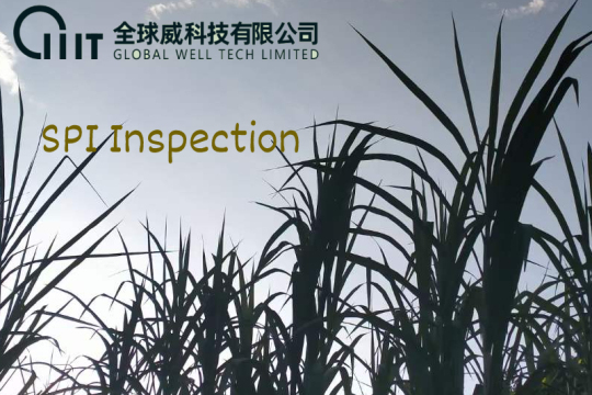 SPI Inspection