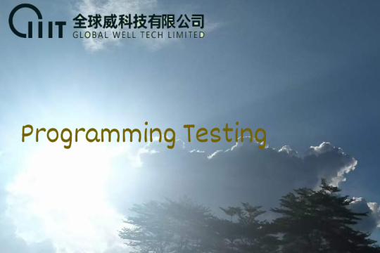 Programming Testing