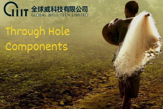 Through Hole Components
