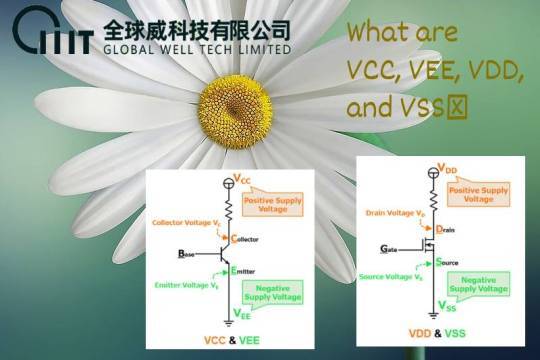 What are VCC, VEE, VDD, and VSS?