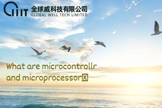 What are microcontrollr and microprocessor?