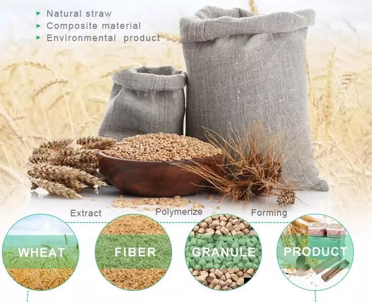 Wheat Straw Eco-Friendly Tube Cosmetic