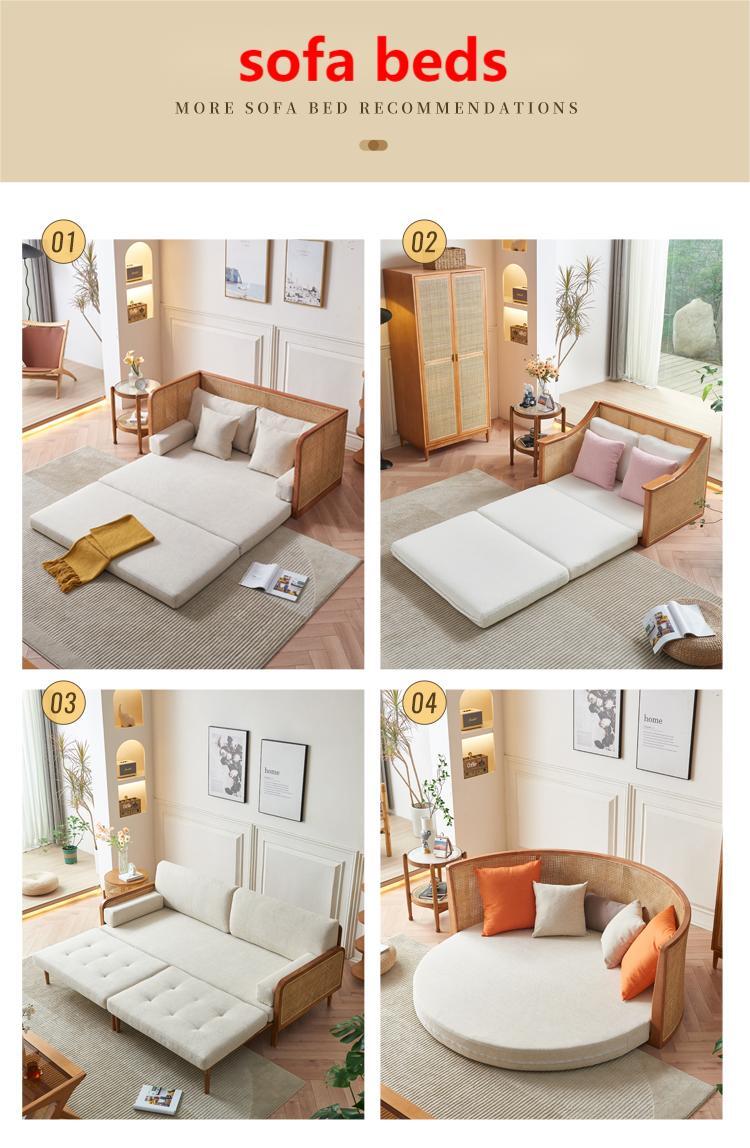 TWB-01  Ultimate Multi-Purpose sofa bed  