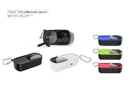 Multifunctional TWS&Bluetooth Speaker supplier
