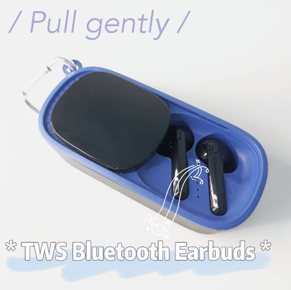 Multifunctional TWS&Bluetooth Speaker supplier