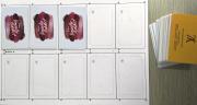 Transparent card Prelam, RPVC Fudan inlay sheet, Contactless IC card,Dual interface Inlay,RFID card inlay