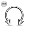 silver-horseshoe-01
