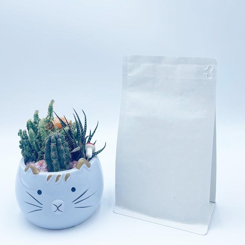 What Is a Packaging Paper Bag?