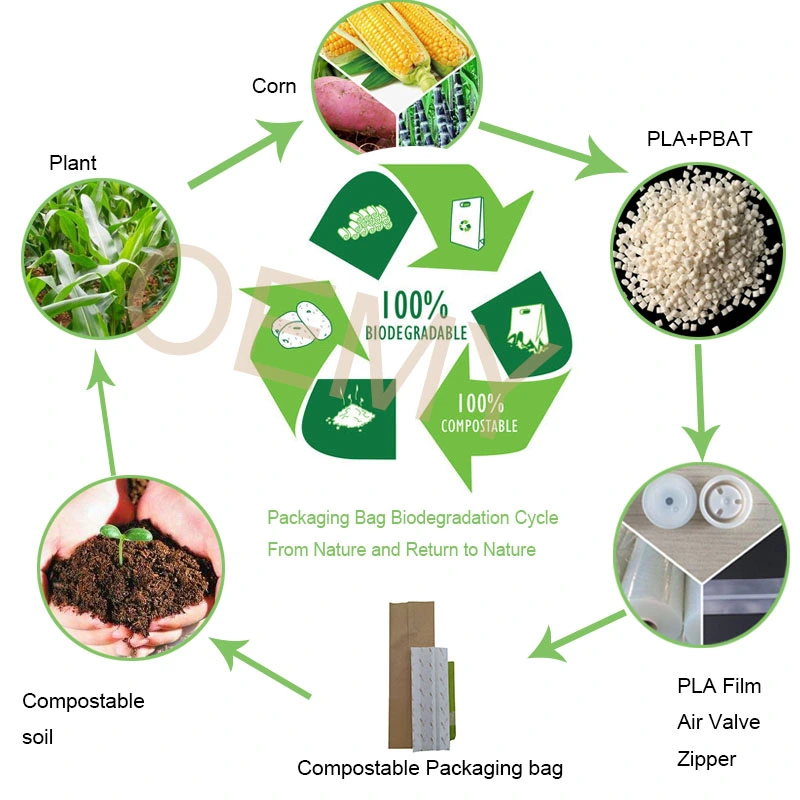 Biodegradable Medium Kraft Paper Bag Aluminum Foil Lined Eco Conscious