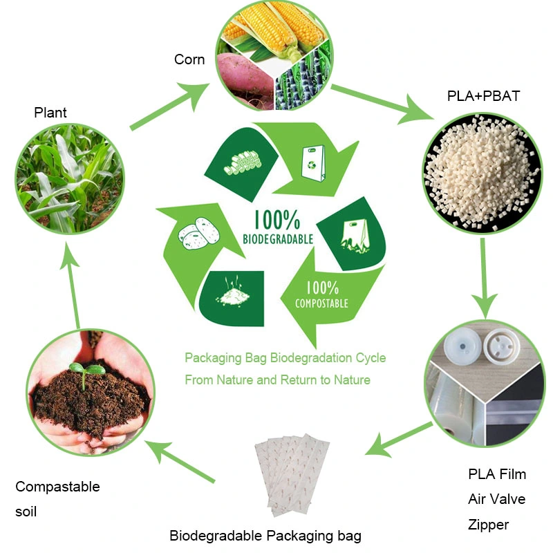 Eco Friendly Custom Packaging Natural Cotton Paper Biodegradable