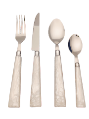 hot selling stainless steel cutlery Plastic Handle acrylic Handle