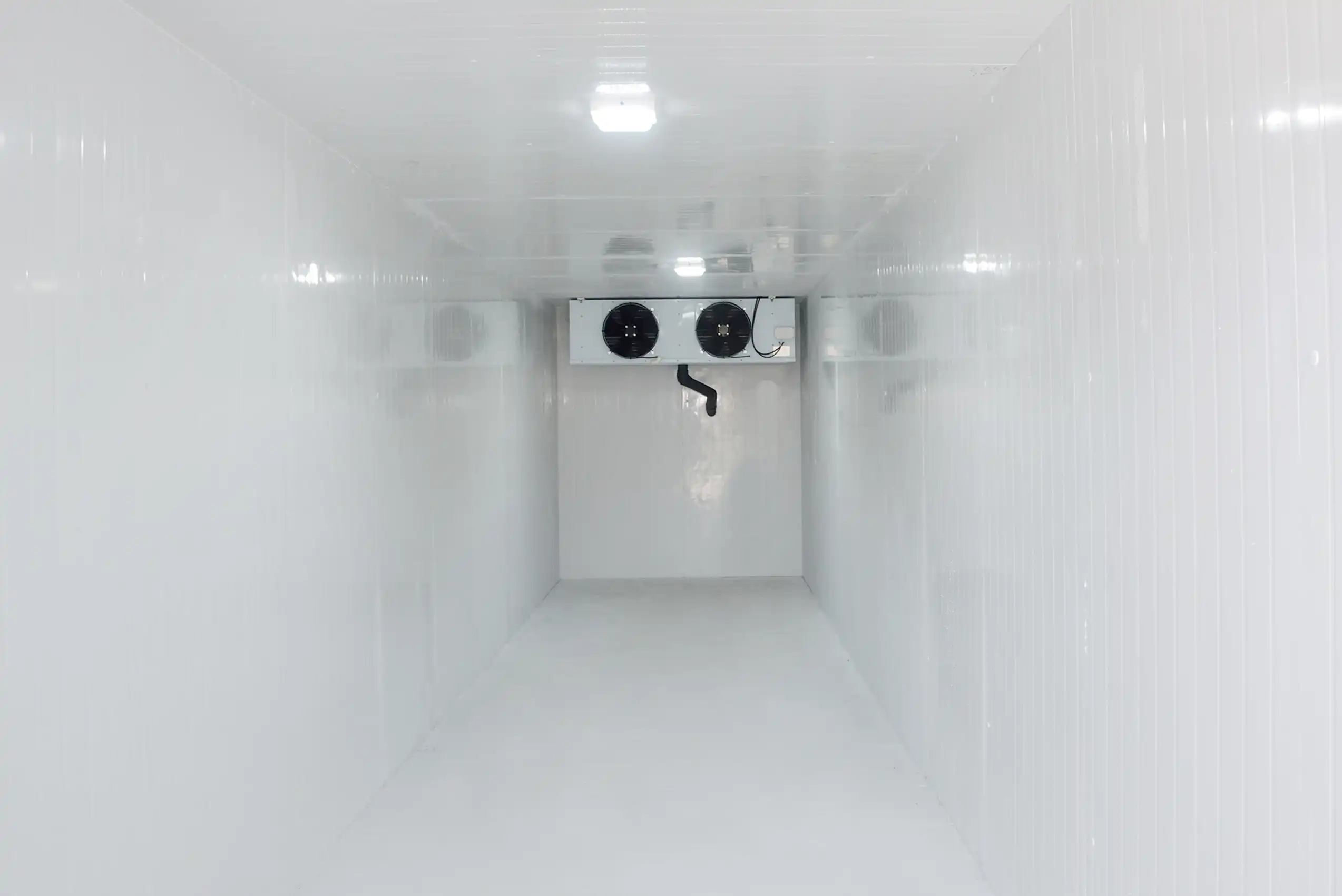 Containerized Cold Room