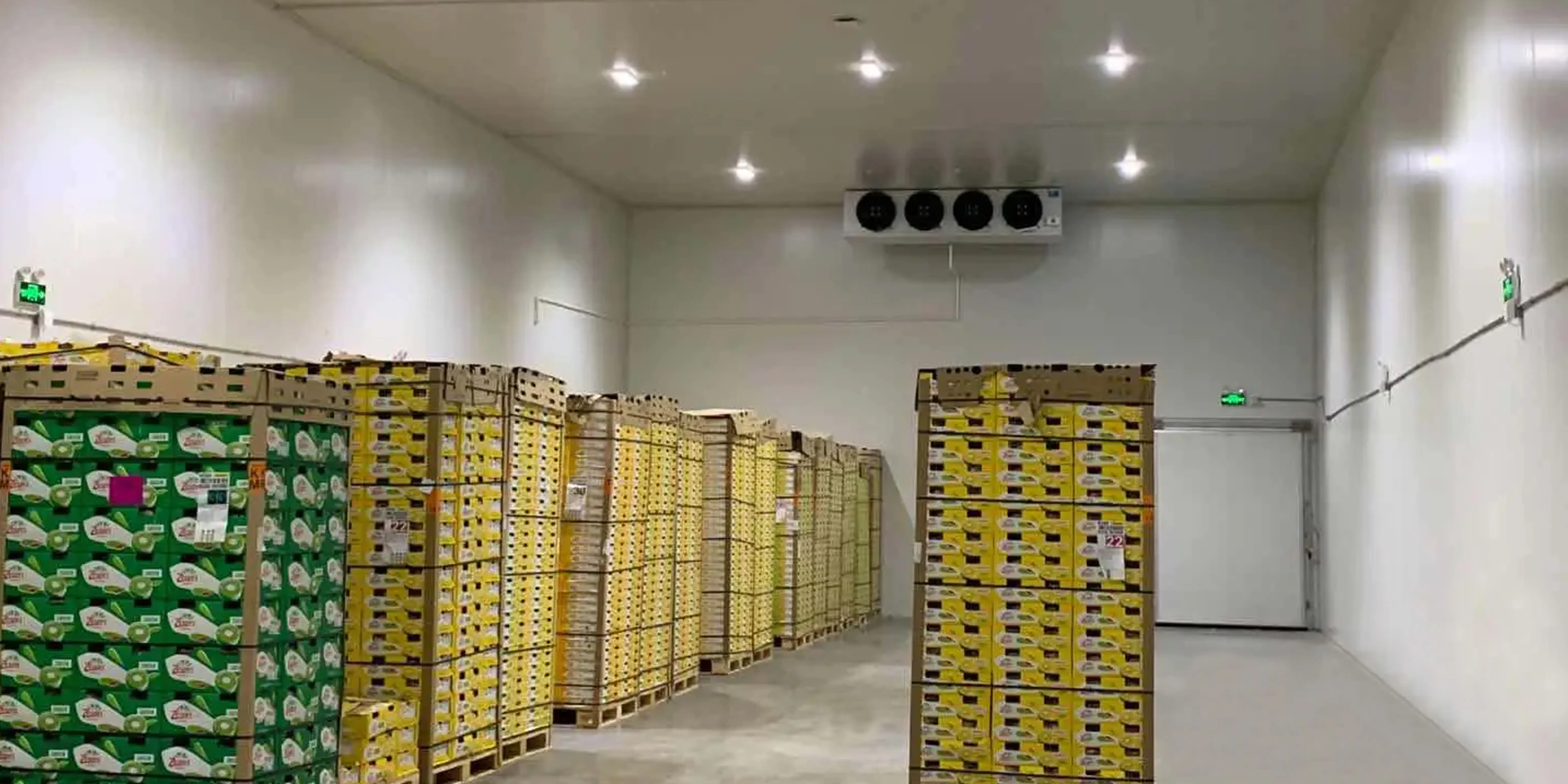 Focusun Sea Shipping New Containerized Cold Storage Clean Solar Power System 40'