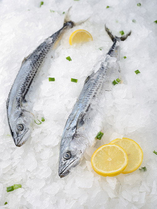 Flake ice machine are widely used in Seafood processing