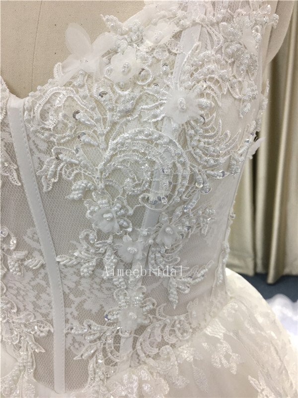  A-line/Ball Gown / Princess V Neck cathedral Train Tulle lace Made-To-Measure Wedding Dresses with Appliques