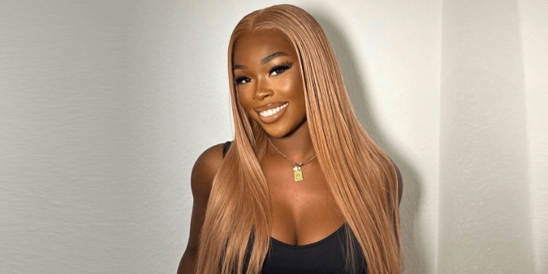 Honey Blonde HD Lace Front Wig