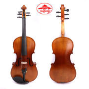 Advance 4/4 Electric Violin 5string violin Maple Spruce Hand Made Violin Case