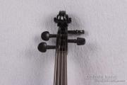 Black Violin Electric Violin 4/4 Sweet Tone Free Case Bow Solid wood Advance Red Color Silent Violin