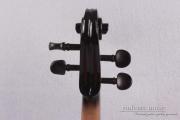 Black Violin Electric Violin 4/4 Sweet Tone Free Case Bow Solid wood Advance Red Color Silent Violin