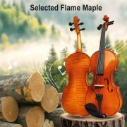 Violin 4/4 Full Set Violin for Beginners & Adults Solid Wood Fiddle with Hard Case Bow Shoulder Rest Strings Flame Maple Spruce Wood (Brown, 4/4)