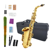 Yinfente Alto Sax Beginner Kit Gold for Adults Student Professional Brass Saxophone with Sax Case Mouthpiece Reeds Gloves Cleaning Cloth & Brush