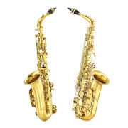 Yinfente Alto Sax Beginner Kit Gold for Adults Student Professional Brass Saxophone with Sax Case Mouthpiece Reeds Gloves Cleaning Cloth & Brush