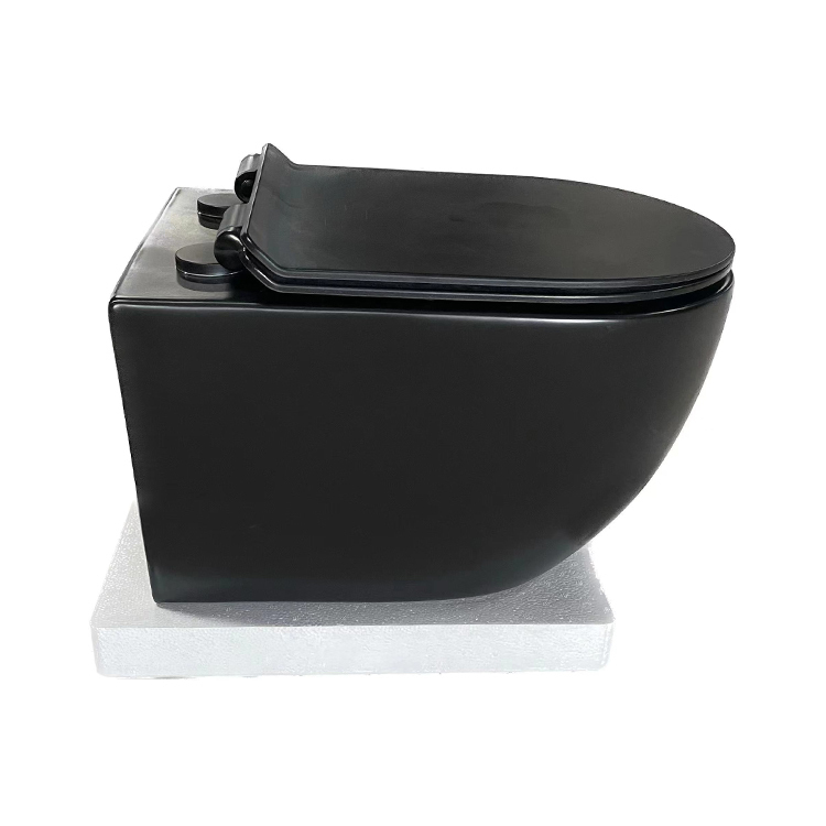 Wall-Hung Toilets: Are They the Future of Bathroom Design? | AidiBath