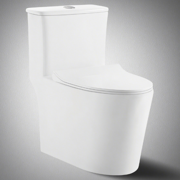 AIDI Siphonic One-Piece Toilet – Floor Mounted Design for Mexico Market