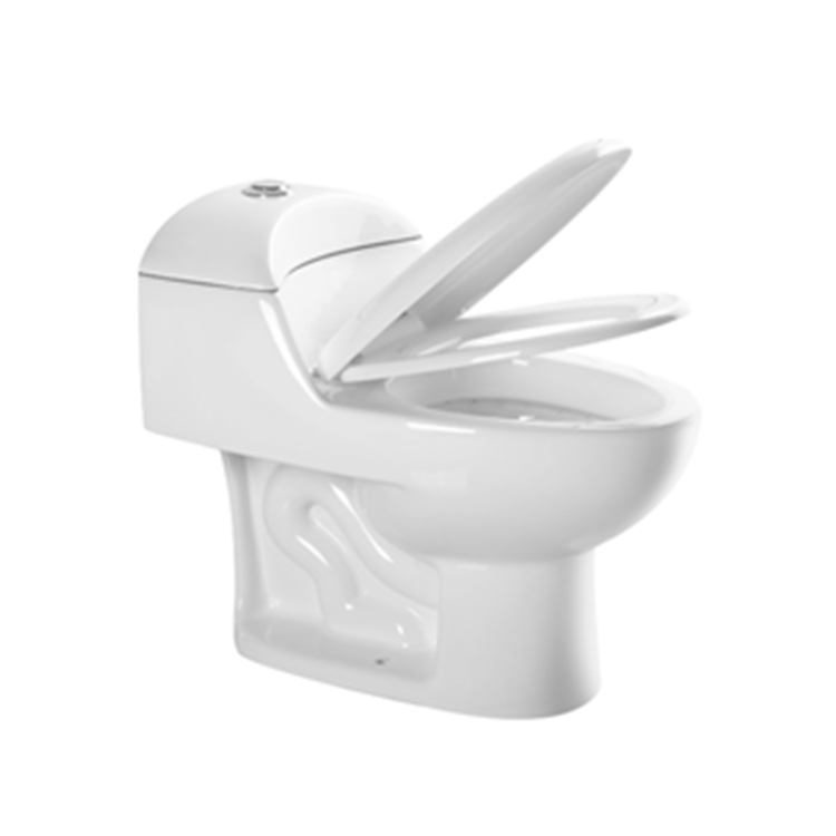 Toilet Manufacturer Monoblock Siphon Dual Flush Toilet Bowl Inodoro