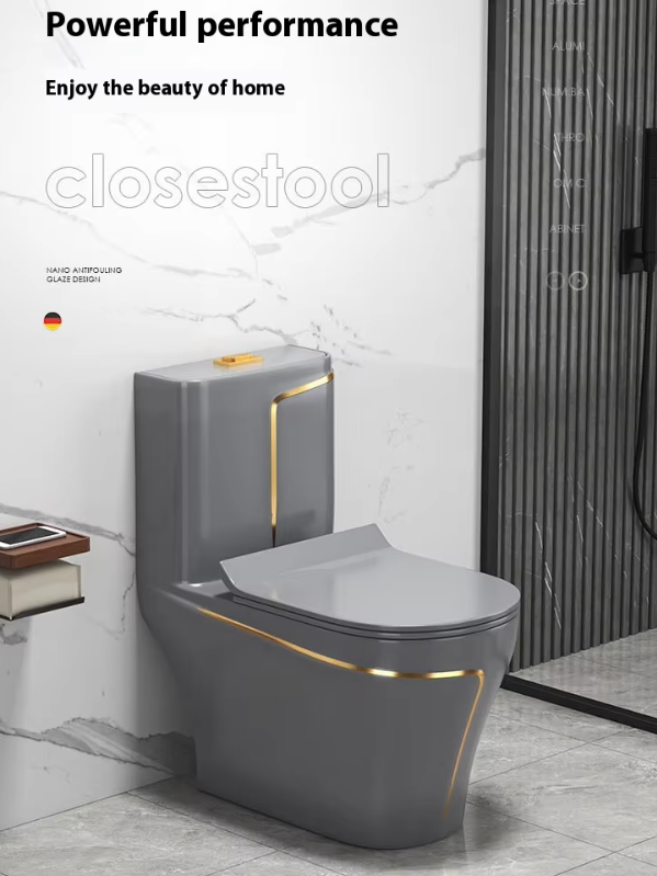 Hot Sell Dual-Flush One-Piece Ceramic Siphonic Toilet with Round Bowl, Modern Floor Mounted WC for Hotel and Project Supply