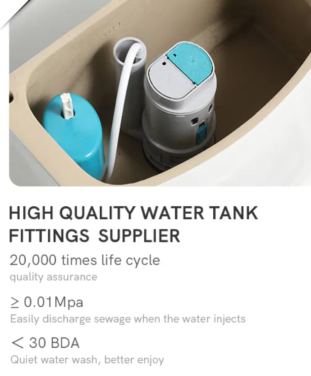 Ceramic Washdown Two Piece Toilet | Dual Fitting Water Saving S-trap Inodoro OEM Factory